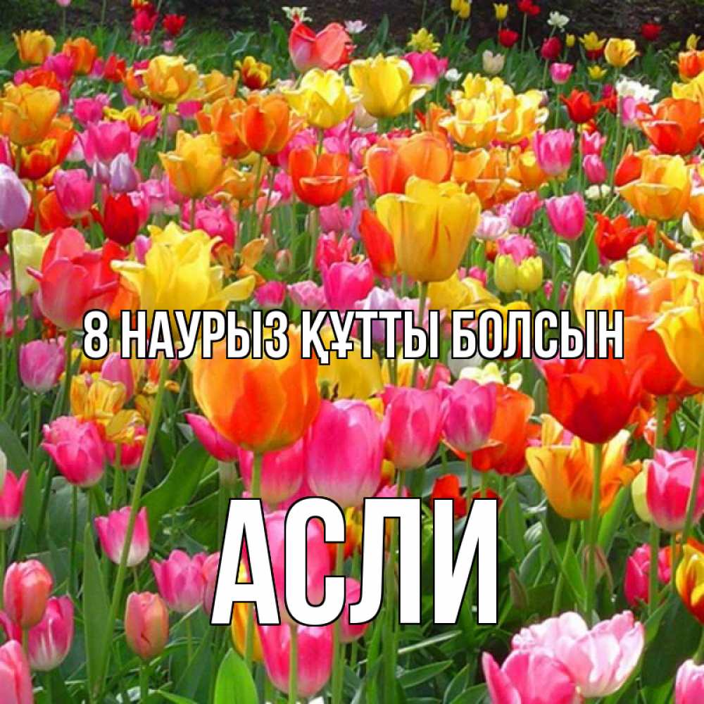 Күн сайын ашық хат с именем, АСЛИ 8 наурыз құтты болсын на международный женский день Онлайн тегін жүктеп алу тілектері бар керемет карта 