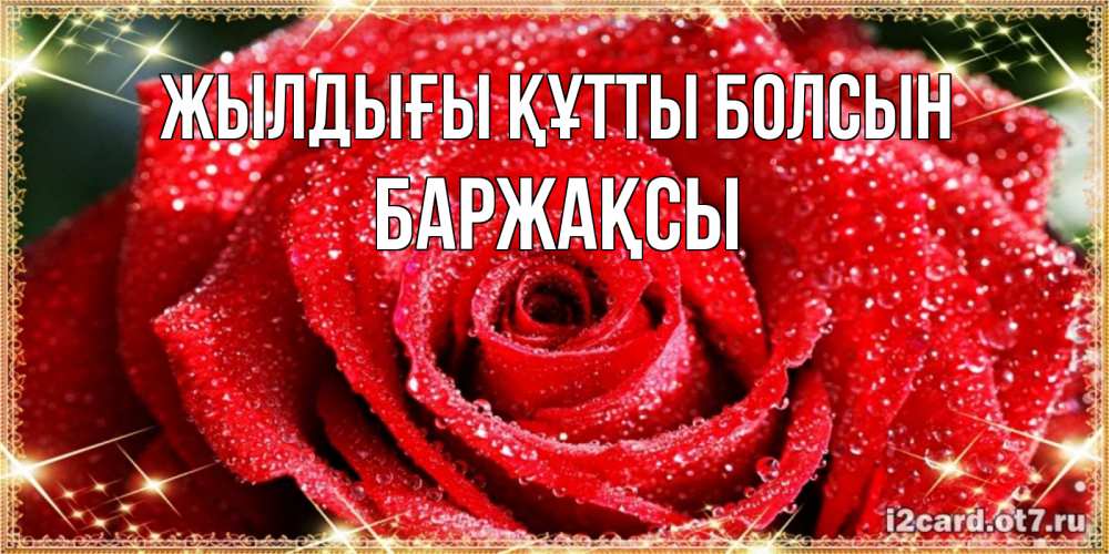Күн сайын ашық хат с именем, Баржақсы Жылдығы құтты болсын роса и роза. открытка с красивой розой Онлайн тегін жүктеп алу тілектері бар керемет карта 
