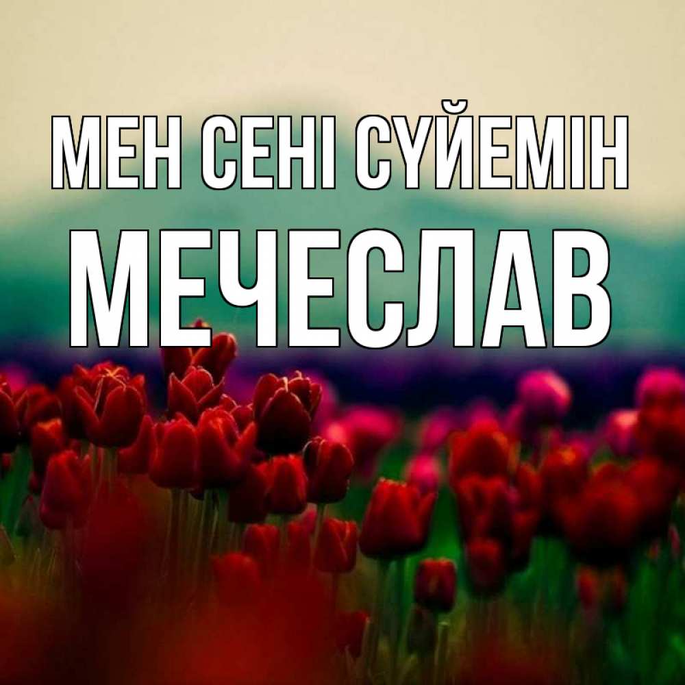 Күн сайын ашық хат с именем, Мечеслав Мен сені сүйемін тюльпаны 4 Онлайн тегін жүктеп алу тілектері бар керемет карта 