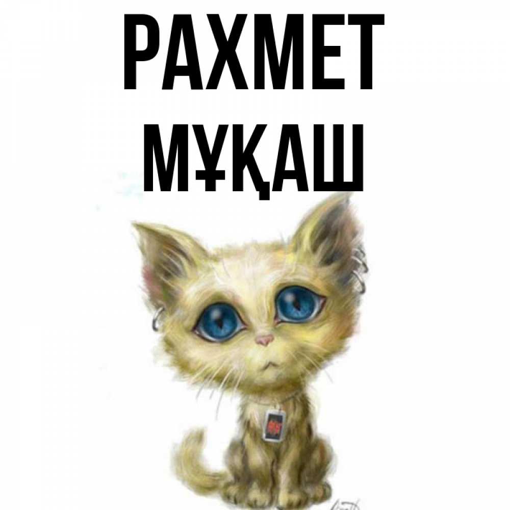 Күн сайын ашық хат с именем, Мұқаш рахмет рисованный кот благодарит вас Онлайн тегін жүктеп алу тілектері бар керемет карта 