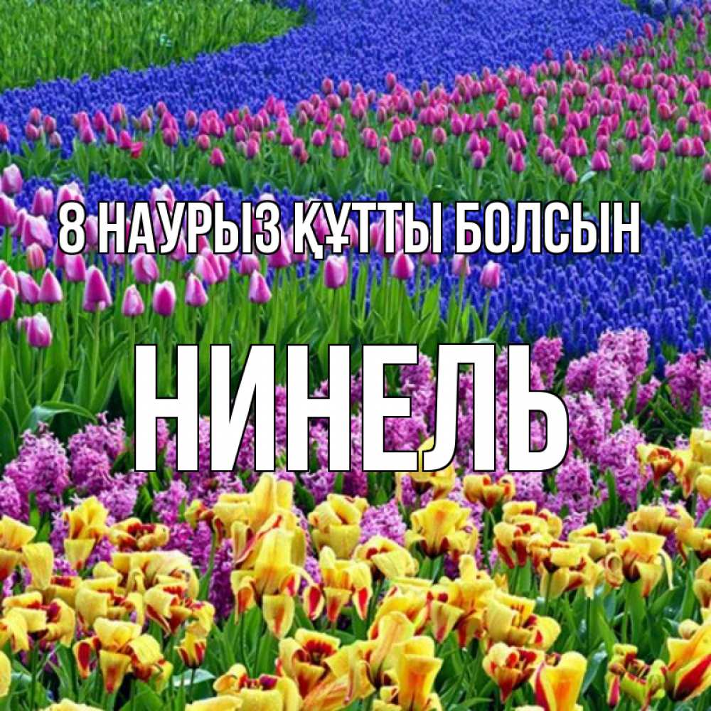 Күн сайын ашық хат с именем, Нинель 8 наурыз құтты болсын цветы Онлайн тегін жүктеп алу тілектері бар керемет карта 