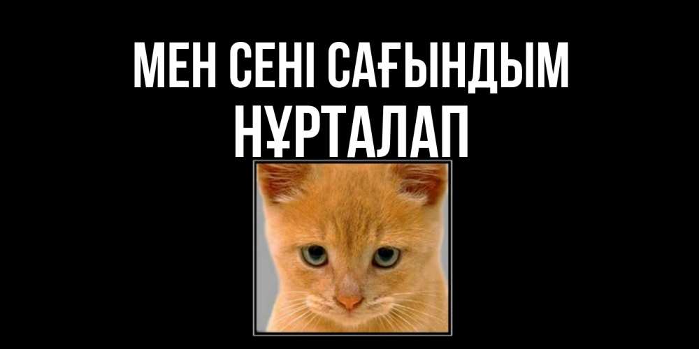Күн сайын ашық хат с именем, НҰРТАЛАП Мен сені сағындым открытки рыжий котенок скучает по тебе Онлайн тегін жүктеп алу тілектері бар керемет карта 