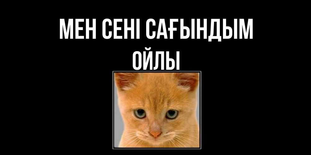 Күн сайын ашық хат с именем, ОЙЛЫ Мен сені сағындым открытки рыжий котенок скучает по тебе Онлайн тегін жүктеп алу тілектері бар керемет карта 