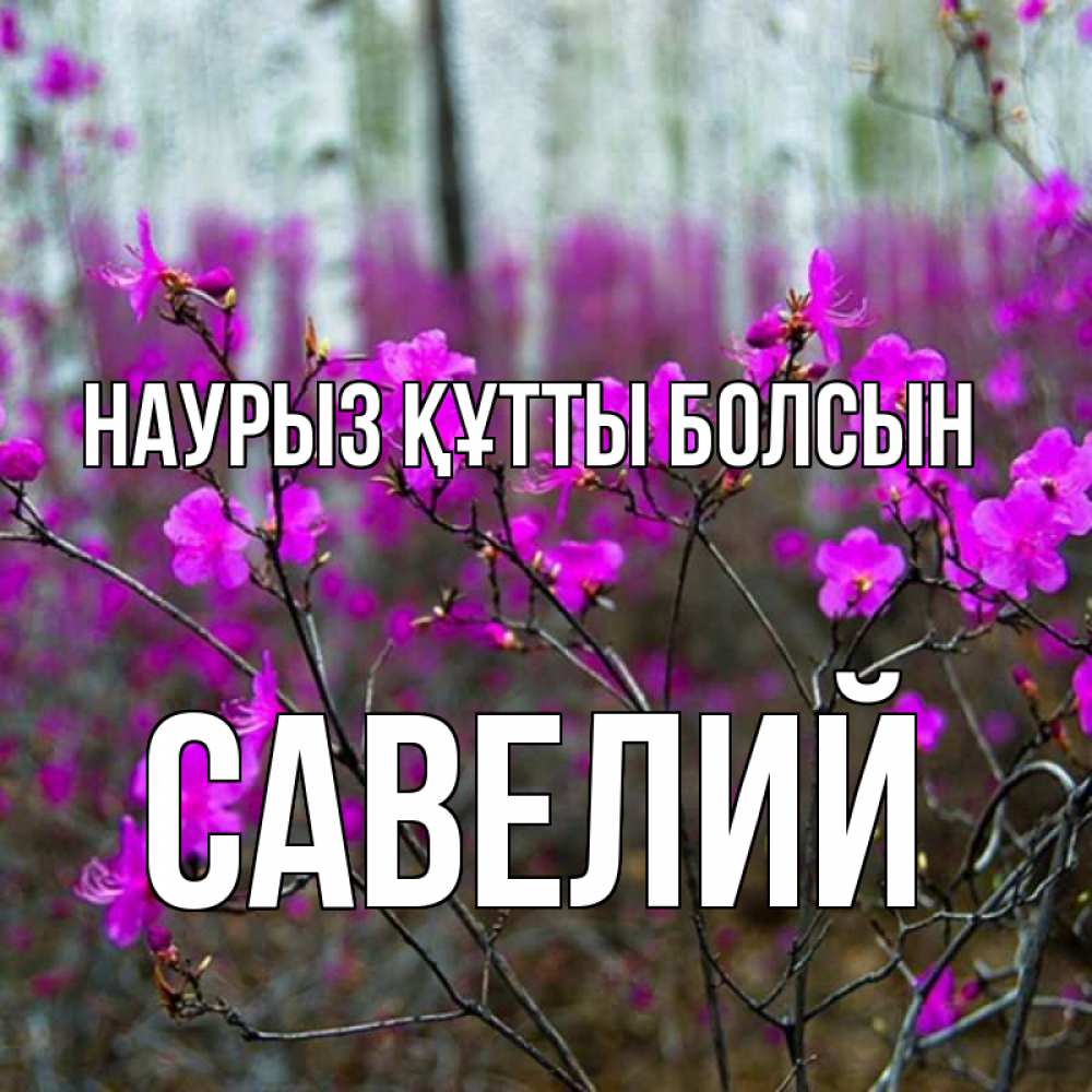 Күн сайын ашық хат с именем, Савелий Наурыз құтты болсын дикие цветы Онлайн тегін жүктеп алу тілектері бар керемет карта 
