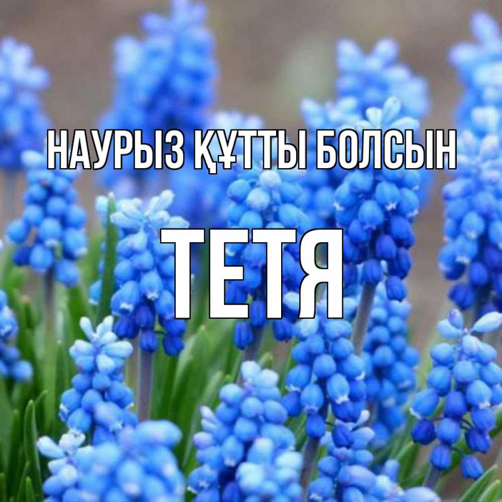 Күн сайын ашық хат с именем, Тетя Наурыз құтты болсын Поздравительная открытка для женщин с цветами на праздничную дату Онлайн тегін жүктеп алу тілектері бар керемет карта 