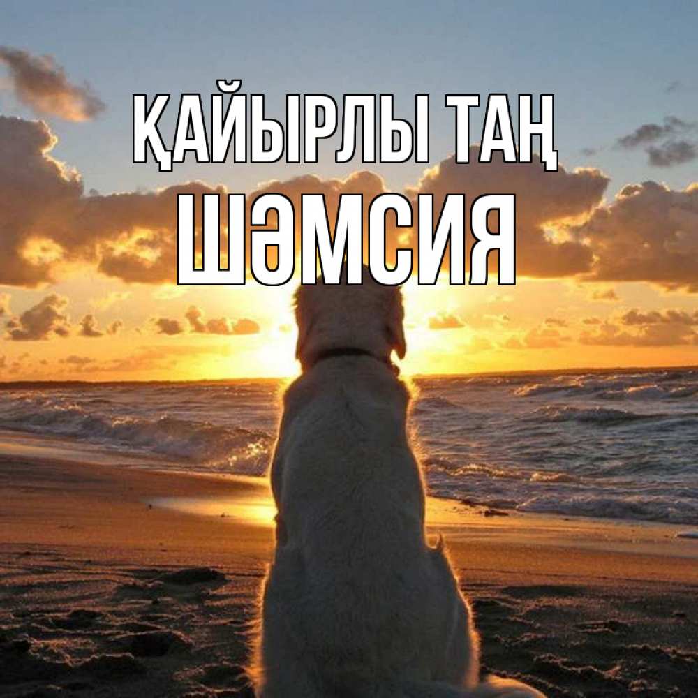 Күн сайын ашық хат с именем, ШӘМСИЯ Қайырлы таң восход солнца Онлайн тегін жүктеп алу тілектері бар керемет карта 