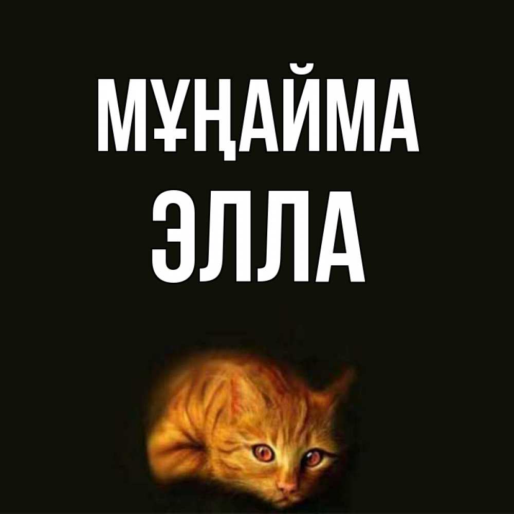 Күн сайын ашық хат с именем, Элла Мұңайма лежащий кот в темноте Онлайн тегін жүктеп алу тілектері бар керемет карта 
