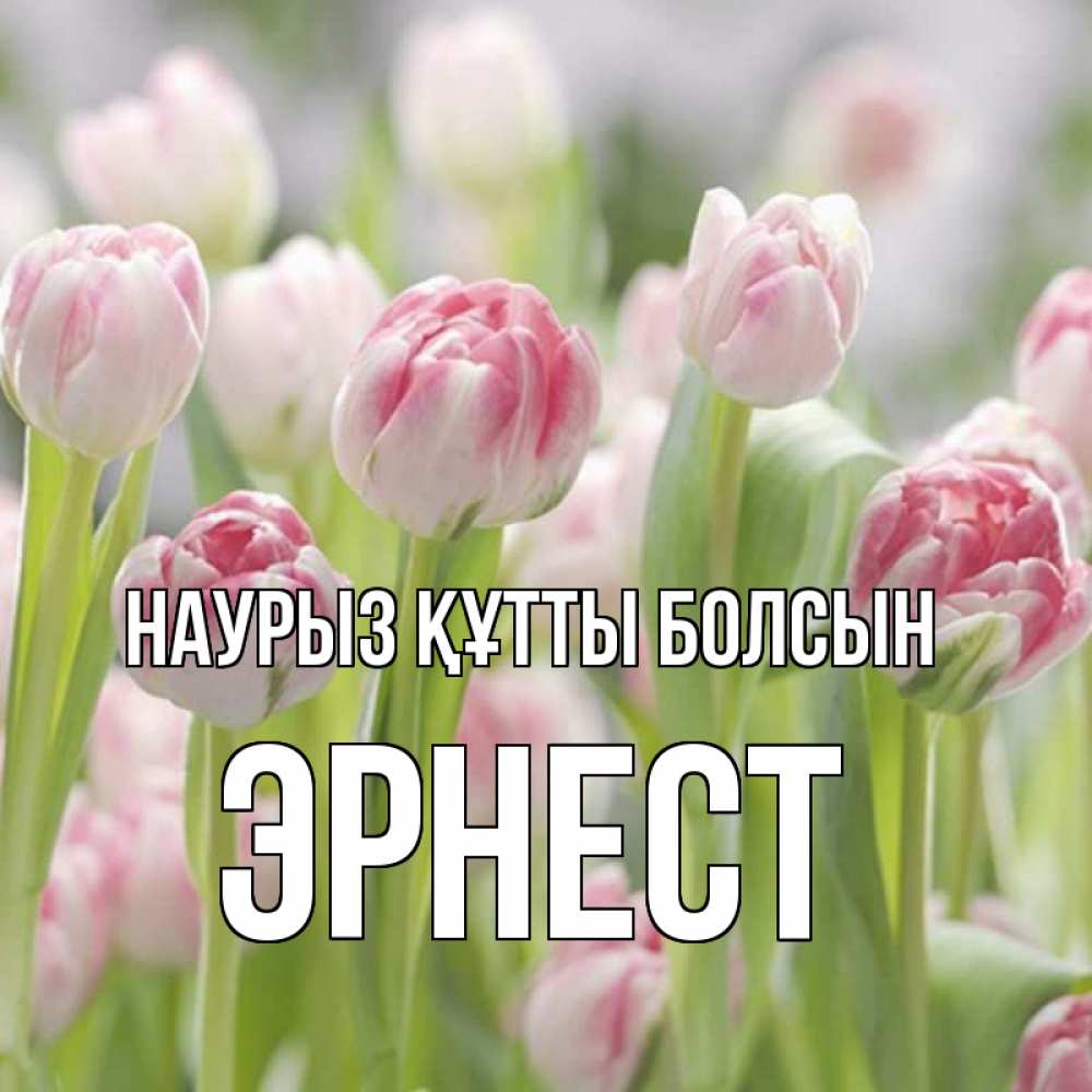 Күн сайын ашық хат с именем, Эрнест Наурыз құтты болсын цветы Онлайн тегін жүктеп алу тілектері бар керемет карта 
