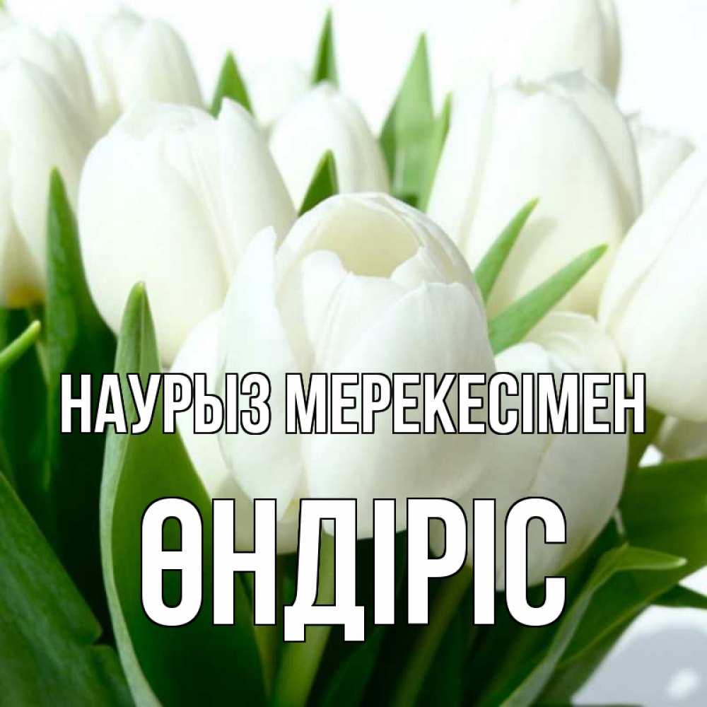 Күн сайын ашық хат с именем, ӨНДІРІС Наурыз мерекесімен цветы Онлайн тегін жүктеп алу тілектері бар керемет карта 