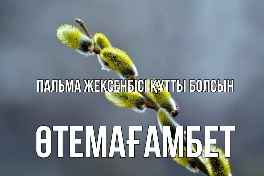 Күн сайын ашық хат с именем, ӨТЕМАҒАМБЕТ Пальма жексенбісі құтты болсын верба Онлайн тегін жүктеп алу тілектері бар керемет карта 