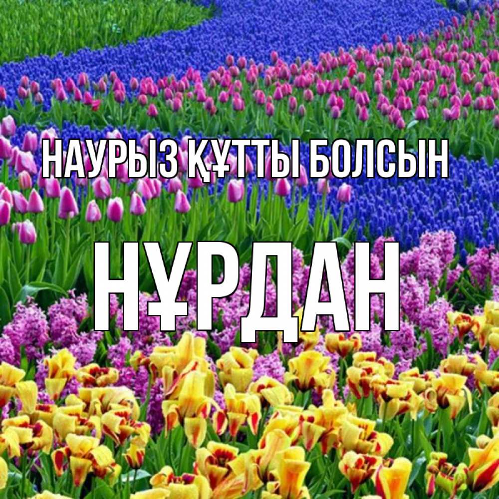 Күн сайын ашық хат с именем, НҰРДАН Наурыз құтты болсын цветы Онлайн тегін жүктеп алу тілектері бар керемет карта 