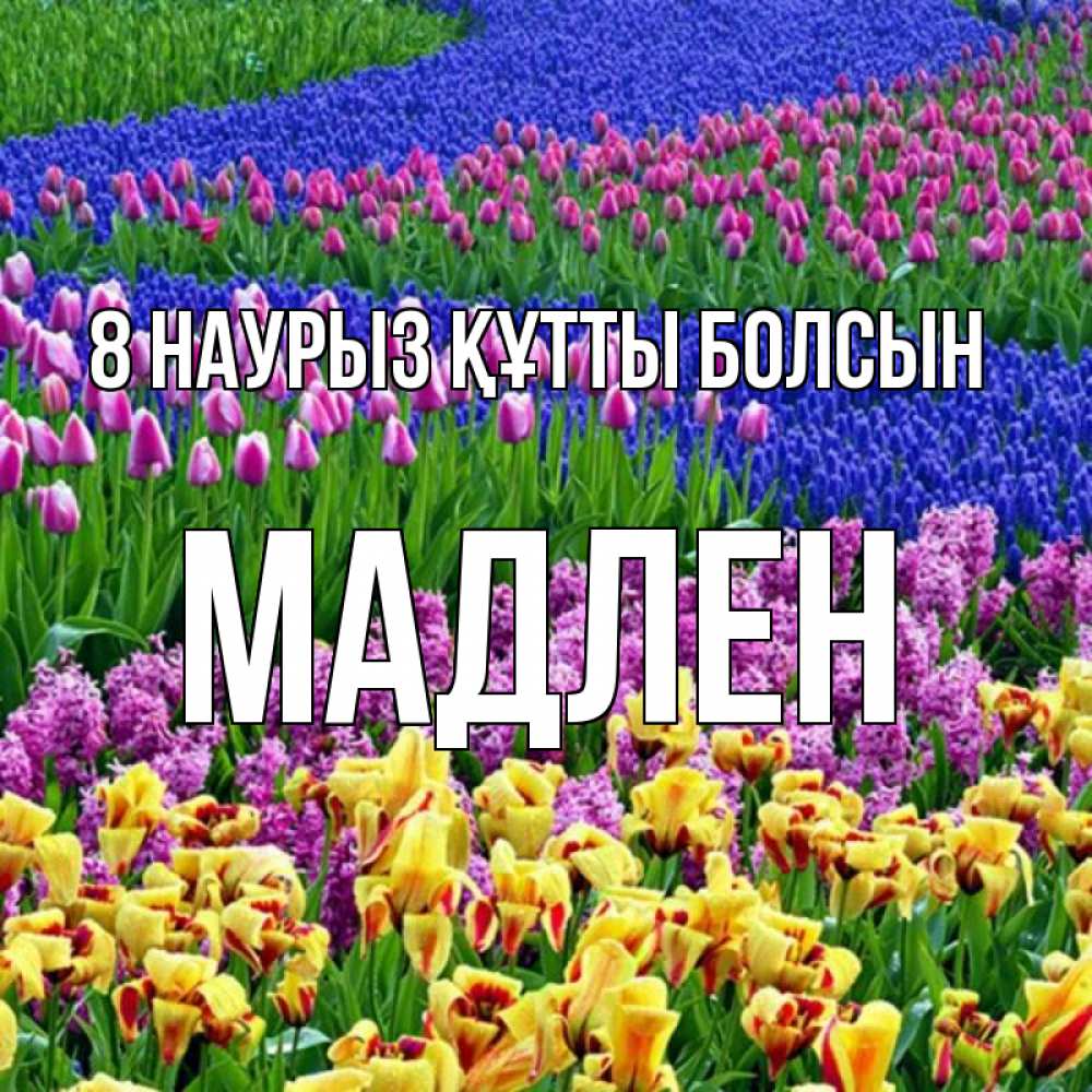 Күн сайын ашық хат с именем, Мадлен 8 наурыз құтты болсын цветы Онлайн тегін жүктеп алу тілектері бар керемет карта 
