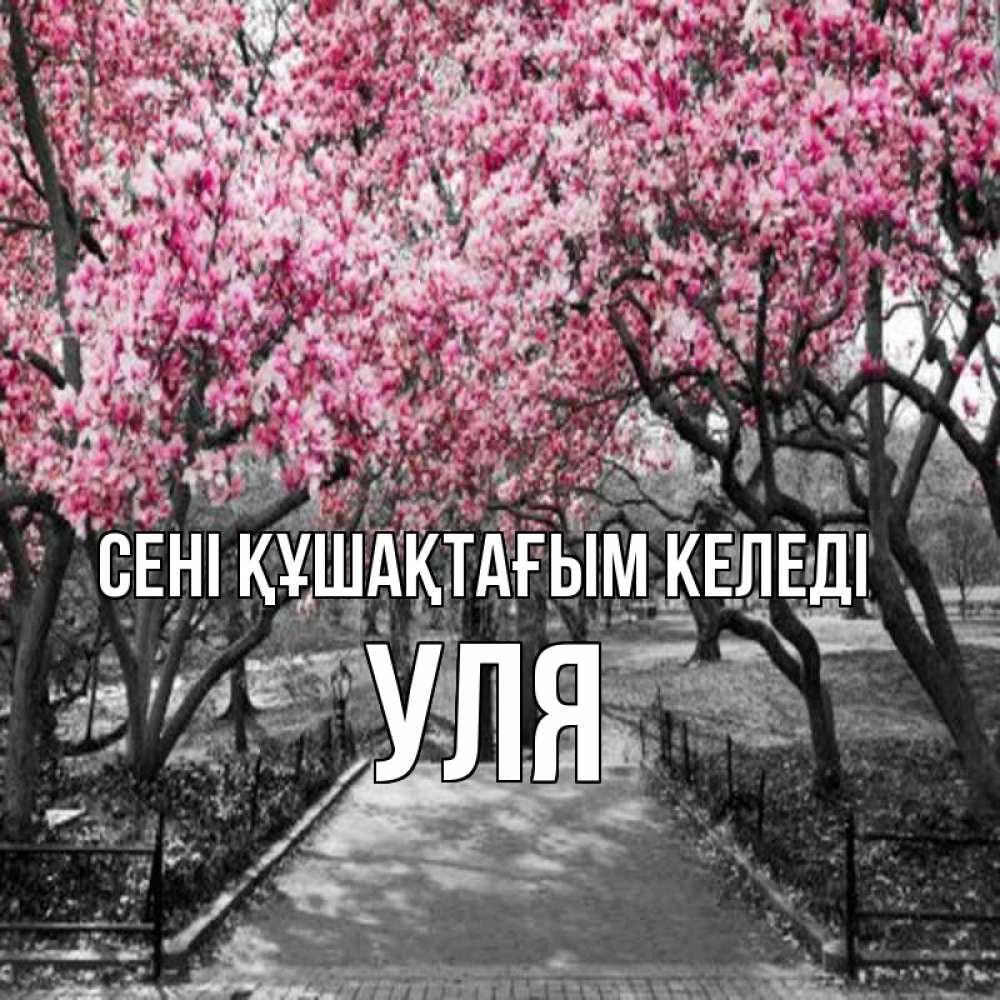 Күн сайын ашық хат с именем, Уля сені құшақтағым келеді обработанное фото Онлайн тегін жүктеп алу тілектері бар керемет карта 