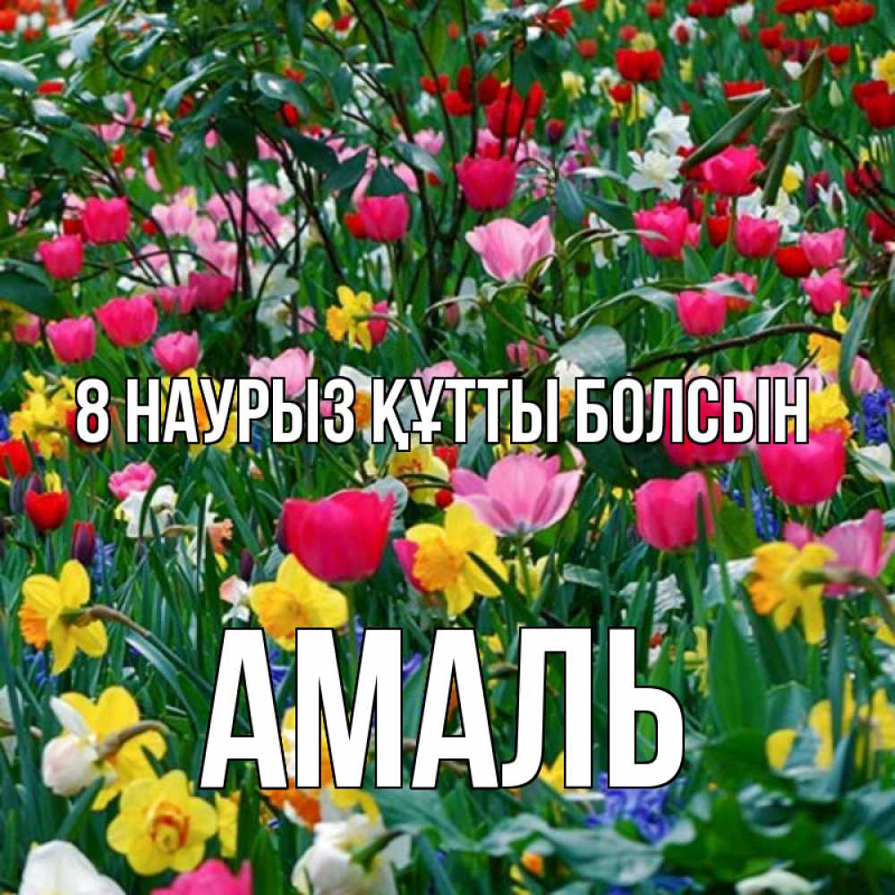 Күн сайын ашық хат с именем, Амаль 8 наурыз құтты болсын с международным женским днем поздравления для женщины Онлайн тегін жүктеп алу тілектері бар керемет карта 
