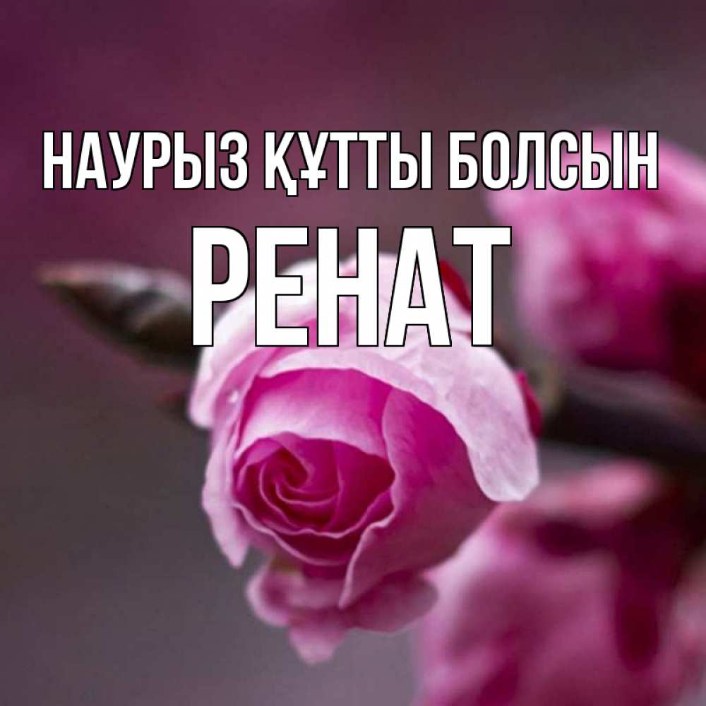 Күн сайын ашық хат с именем, РЕНАТ Наурыз құтты болсын весна Онлайн тегін жүктеп алу тілектері бар керемет карта 
