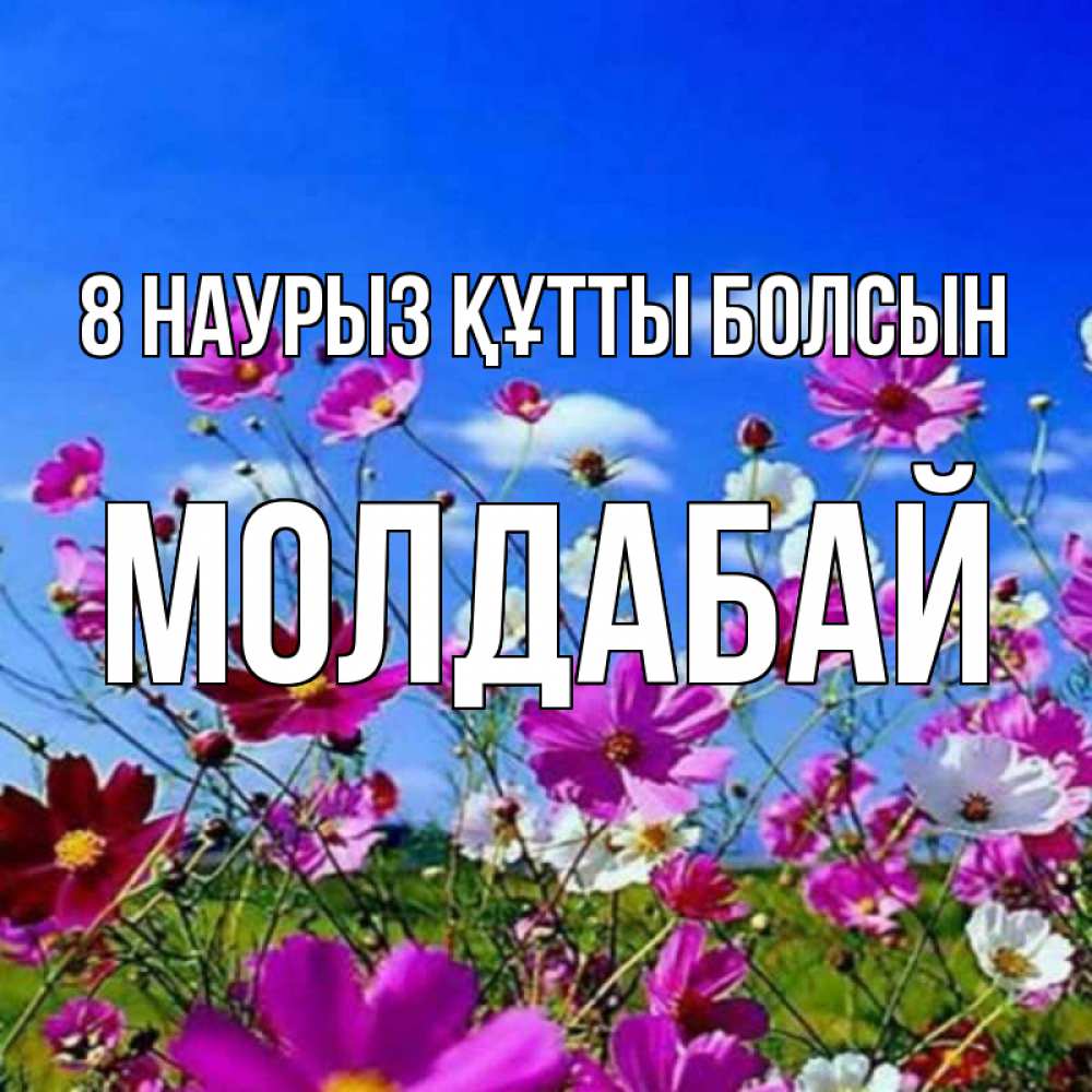 Күн сайын ашық хат с именем, МОЛДАБАЙ 8 наурыз құтты болсын цветы Онлайн тегін жүктеп алу тілектері бар керемет карта 