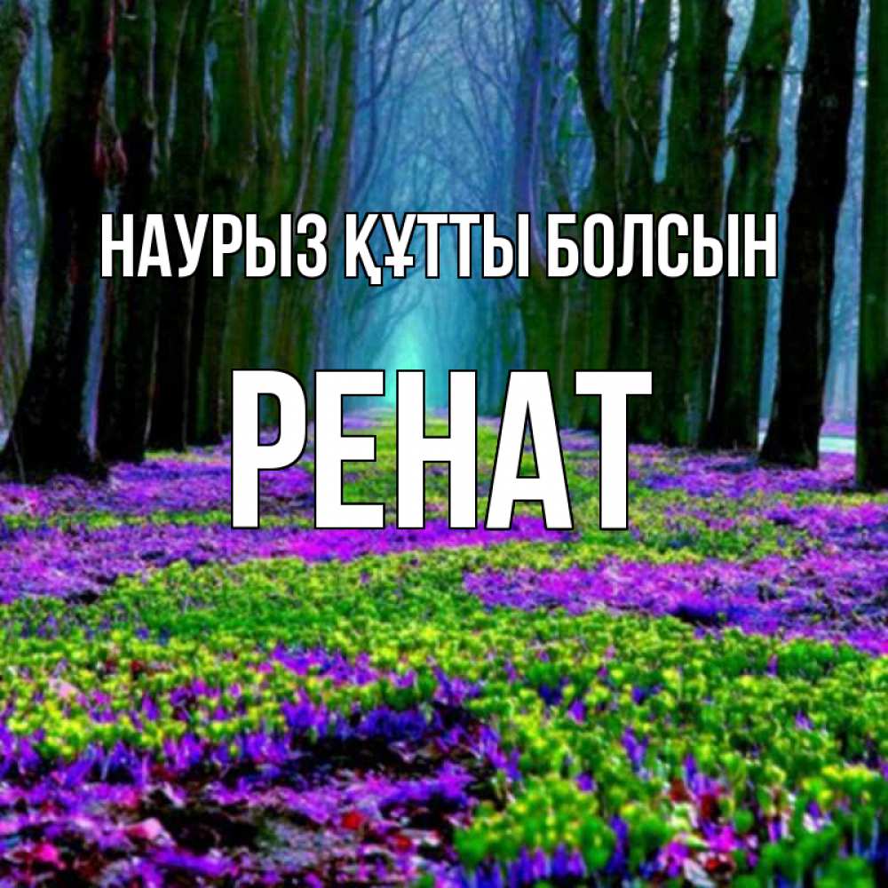 Күн сайын ашық хат с именем, РЕНАТ Наурыз құтты болсын фиолетовые цветы в лесу 1 Онлайн тегін жүктеп алу тілектері бар керемет карта 