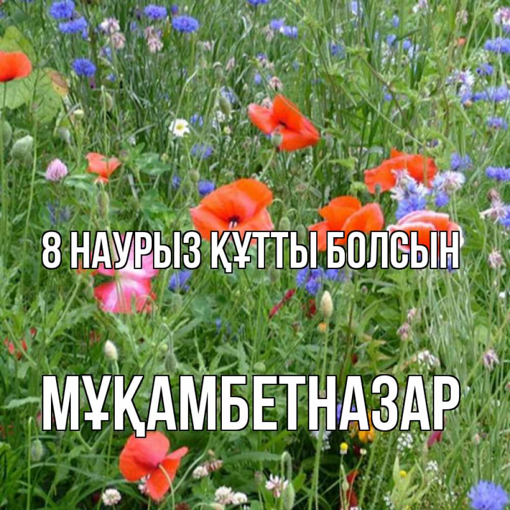 Күн сайын ашық хат с именем, Мұқамбетназар 8 наурыз құтты болсын международный женский день 4 Онлайн тегін жүктеп алу тілектері бар керемет карта 