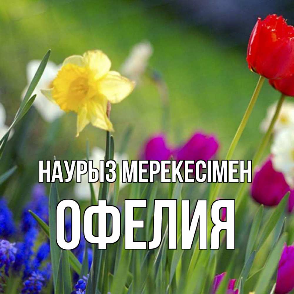 Күн сайын ашық хат с именем, Офелия Наурыз мерекесімен праздник весны наурыз 3 Онлайн тегін жүктеп алу тілектері бар керемет карта 