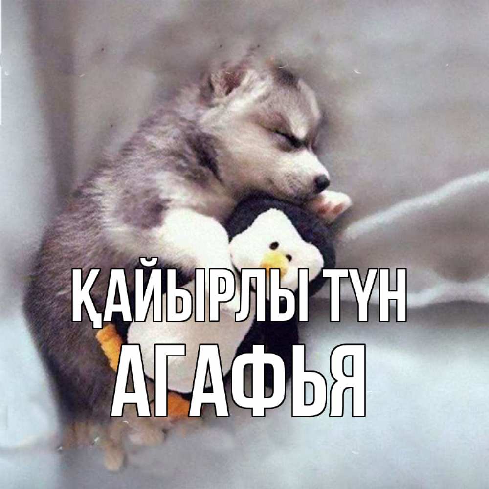 Күн сайын ашық хат с именем, Агафья Қайырлы түн обнимашки щенка и пингвина Онлайн тегін жүктеп алу тілектері бар керемет карта 