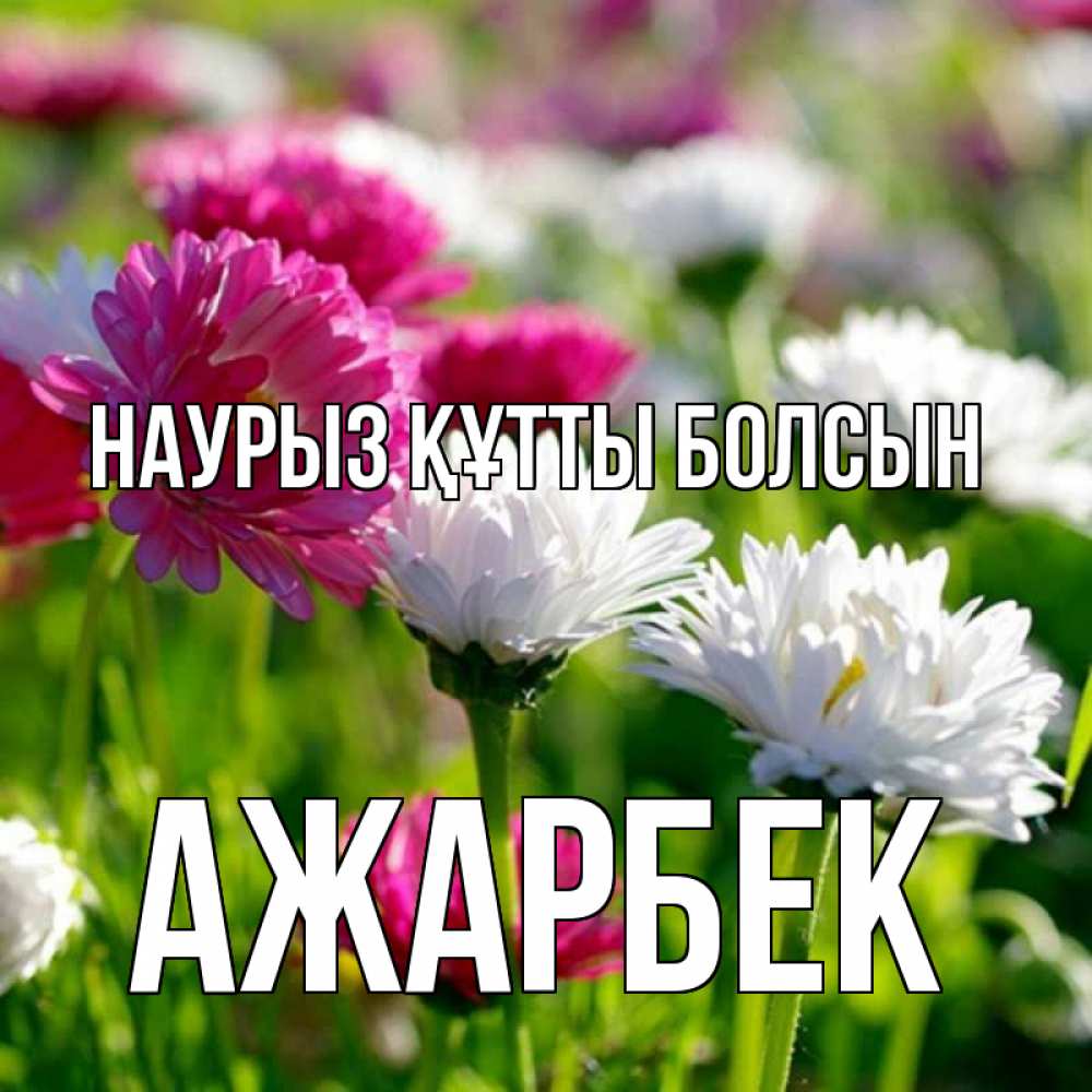 Күн сайын ашық хат с именем, Ажарбек Наурыз құтты болсын наурыз Онлайн тегін жүктеп алу тілектері бар керемет карта 