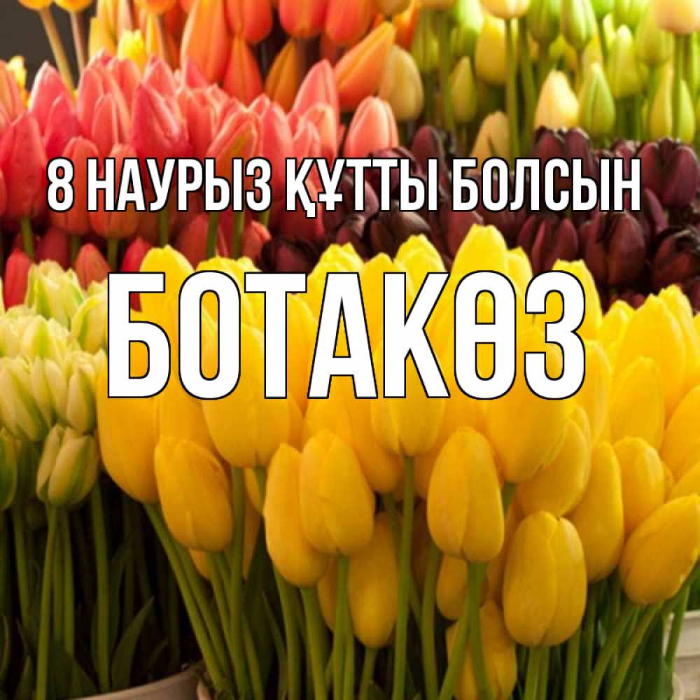 Күн сайын ашық хат с именем, БОТАКӨЗ 8 наурыз құтты болсын цветы Онлайн тегін жүктеп алу тілектері бар керемет карта 