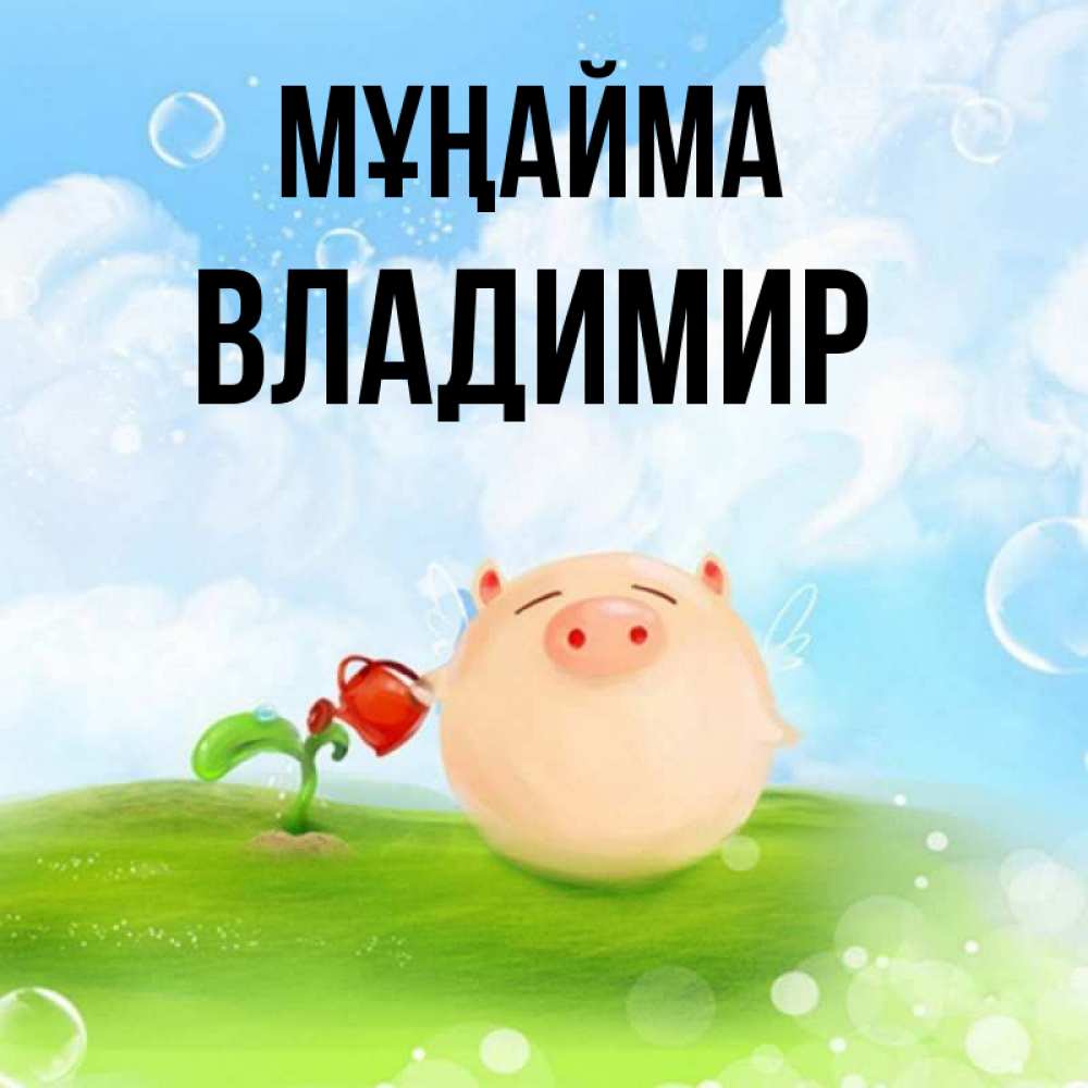 Күн сайын ашық хат с именем, Владимир Мұңайма поливает цветок порося Онлайн тегін жүктеп алу тілектері бар керемет карта 