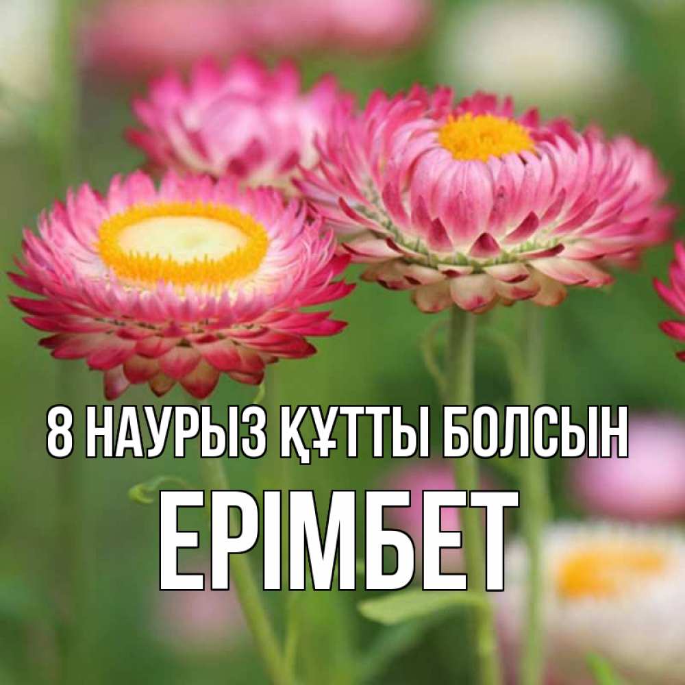 Күн сайын ашық хат с именем, Ерімбет 8 наурыз құтты болсын подарок на международный женский день Онлайн тегін жүктеп алу тілектері бар керемет карта 