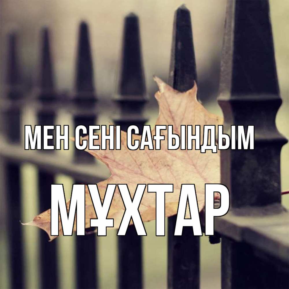 Күн сайын ашық хат с именем, МҰХТАР Мен сені сағындым очень скучно Онлайн тегін жүктеп алу тілектері бар керемет карта 