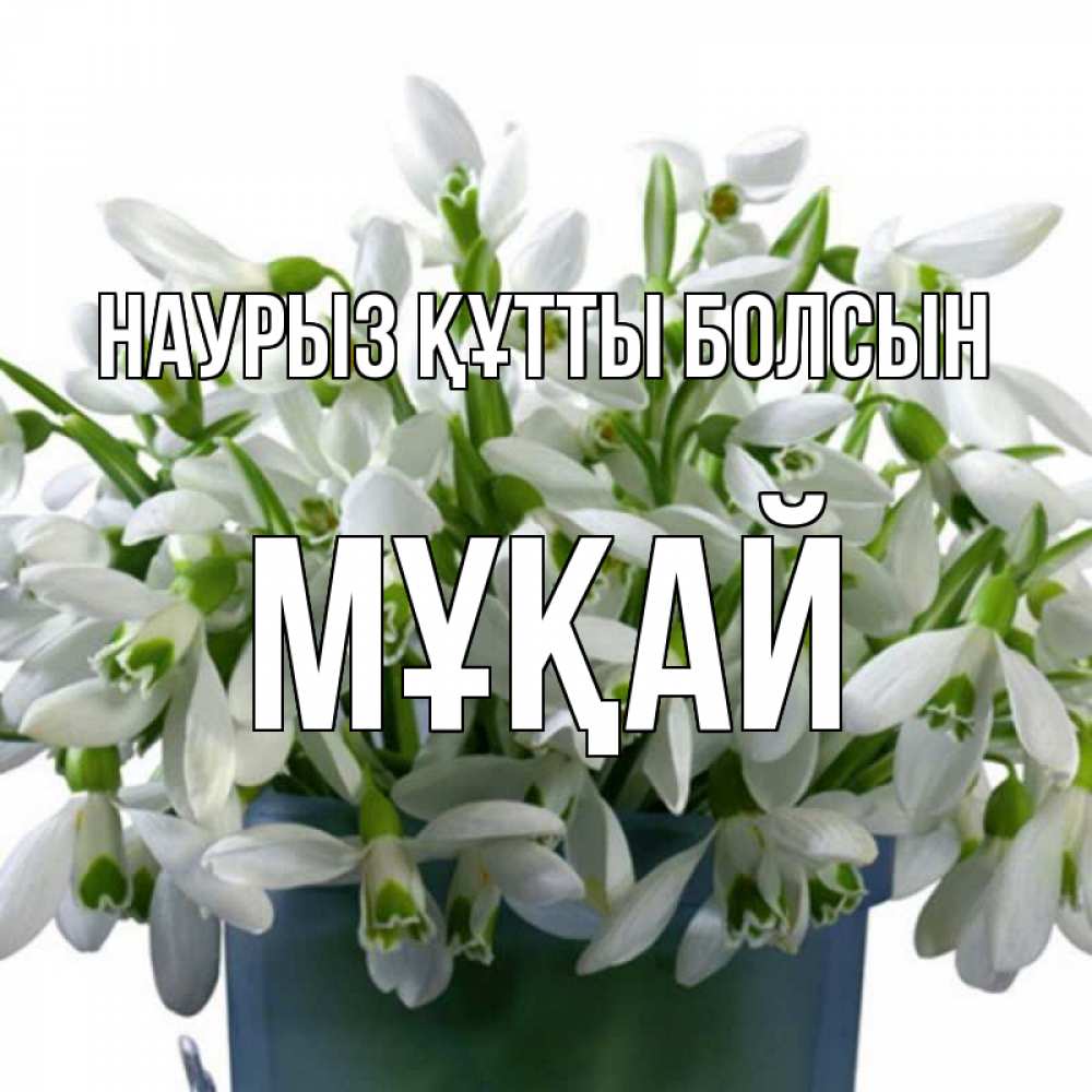 Күн сайын ашық хат с именем, Мұқай Наурыз құтты болсын цветы к наурызу Онлайн тегін жүктеп алу тілектері бар керемет карта 