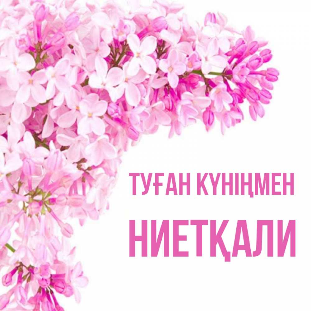 Күн сайын ашық хат с именем, НИЕТҚАЛИ Туған күніңмен Сирень на белом фоне Онлайн тегін жүктеп алу тілектері бар керемет карта 