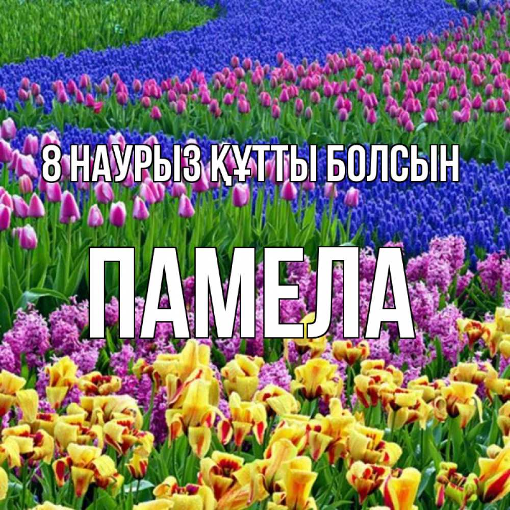 Күн сайын ашық хат с именем, Памела 8 наурыз құтты болсын цветы Онлайн тегін жүктеп алу тілектері бар керемет карта 