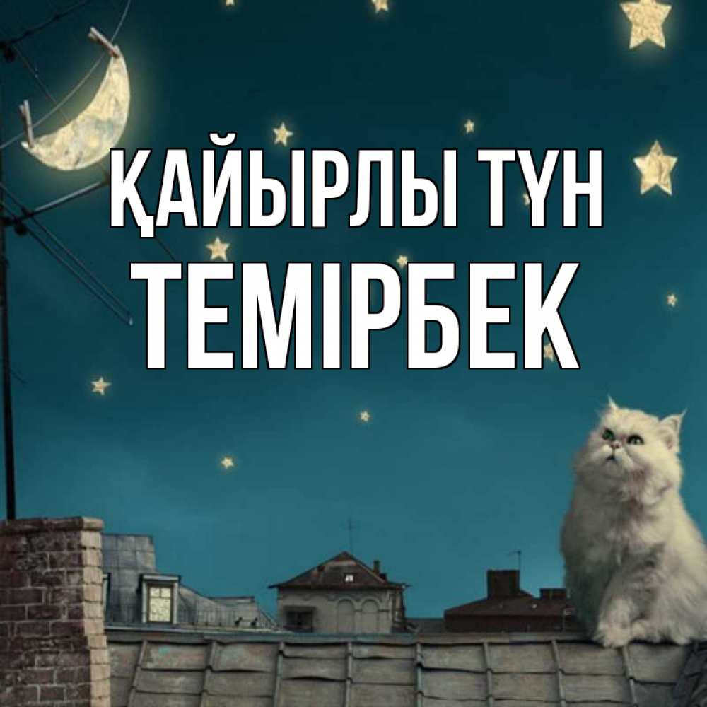 Күн сайын ашық хат с именем, ТЕМІРБЕК Қайырлы түн белый кот сидит на крыше Онлайн тегін жүктеп алу тілектері бар керемет карта 