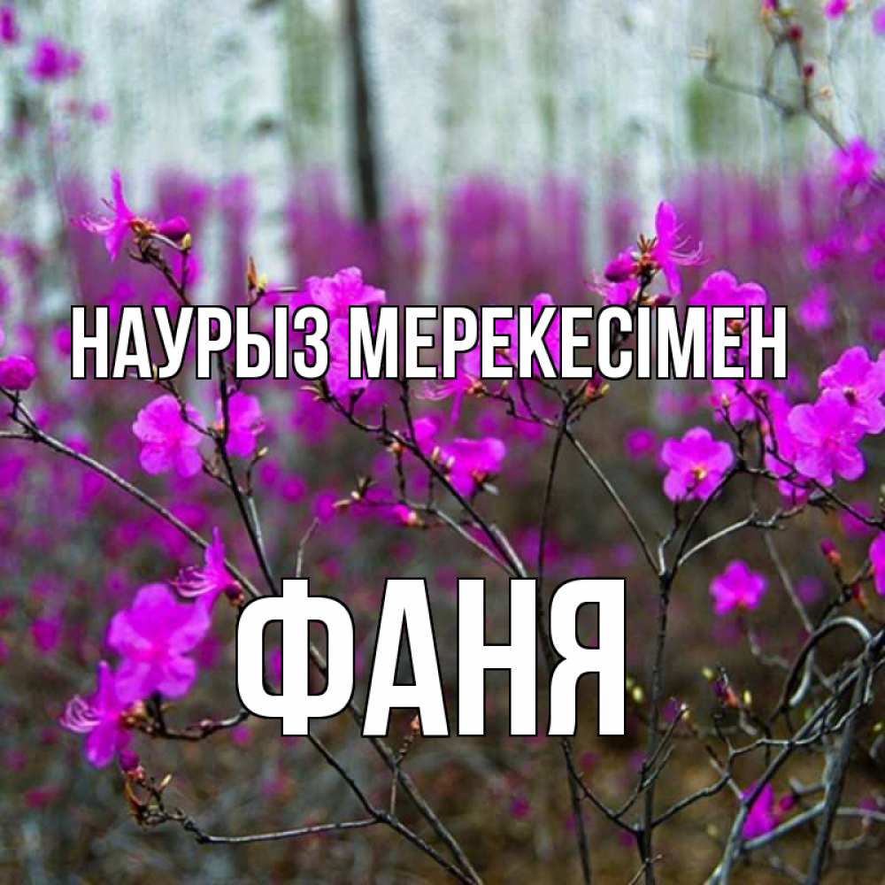 Күн сайын ашық хат с именем, Фаня Наурыз мерекесімен дикие цветы Онлайн тегін жүктеп алу тілектері бар керемет карта 