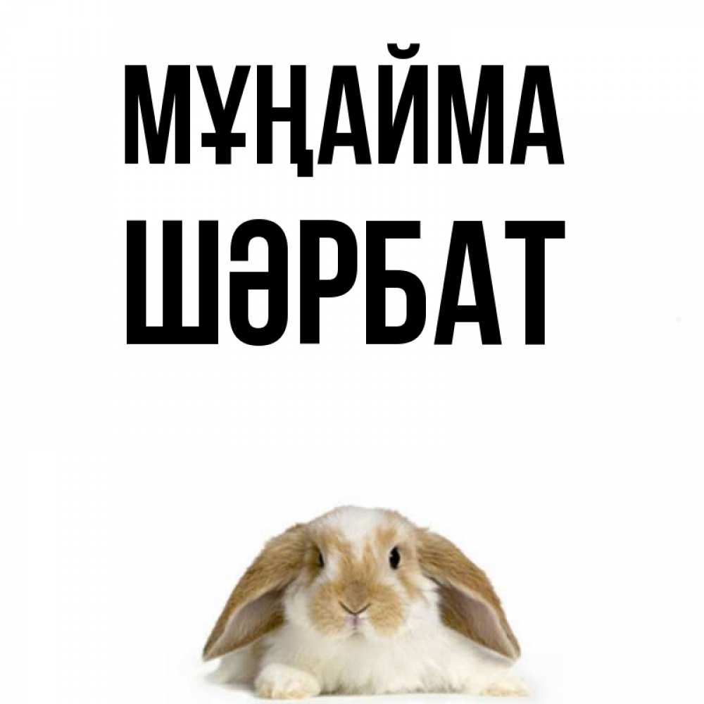 Күн сайын ашық хат с именем, ШӘРБАТ Мұңайма коричнево белый заяц с большими ушками Онлайн тегін жүктеп алу тілектері бар керемет карта 