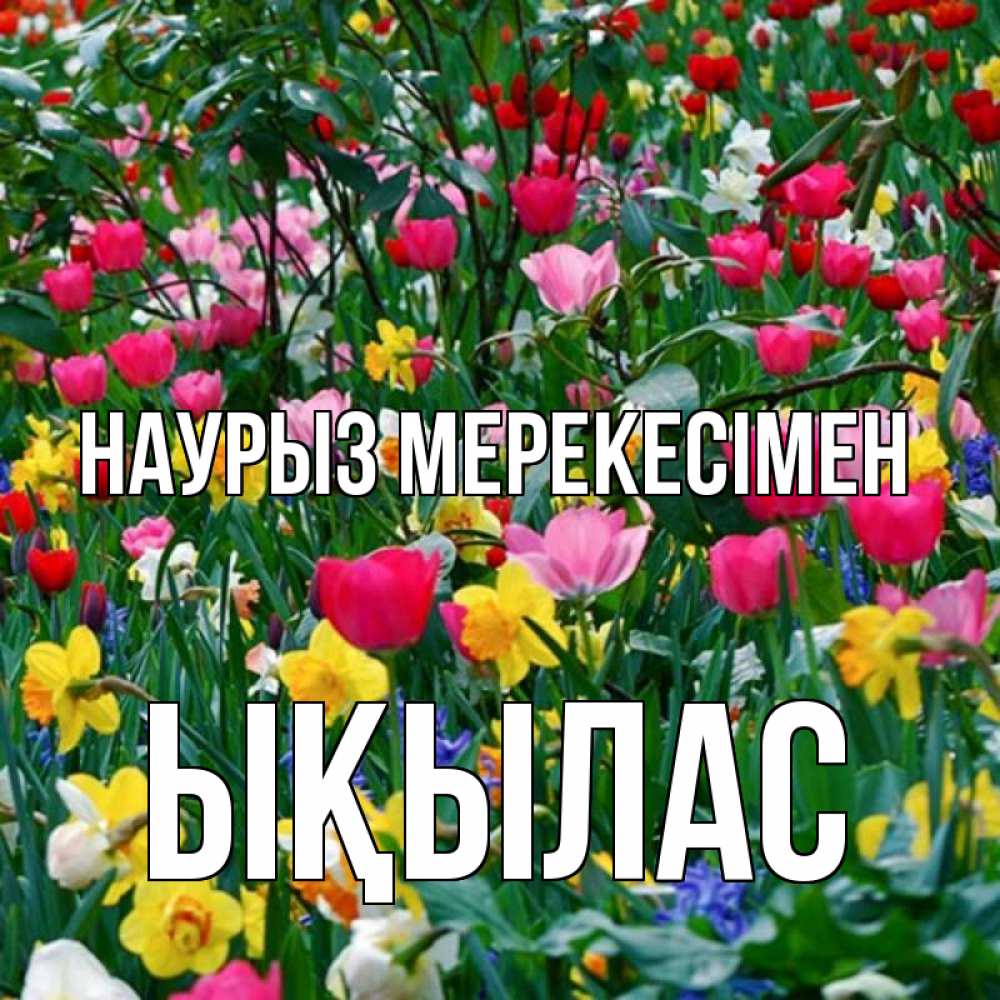 Күн сайын ашық хат с именем, ЫҚЫЛАС Наурыз мерекесімен с наурызом праздником весны поздравления для женщины Онлайн тегін жүктеп алу тілектері бар керемет карта 