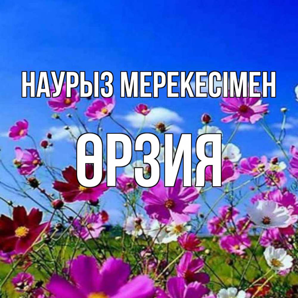 Күн сайын ашық хат с именем, ӨРЗИЯ Наурыз мерекесімен цветы Онлайн тегін жүктеп алу тілектері бар керемет карта 