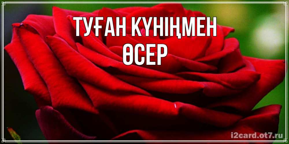 Күн сайын ашық хат с именем, ӨСЕР Туған күніңмен розочка очень красивая Онлайн тегін жүктеп алу тілектері бар керемет карта 