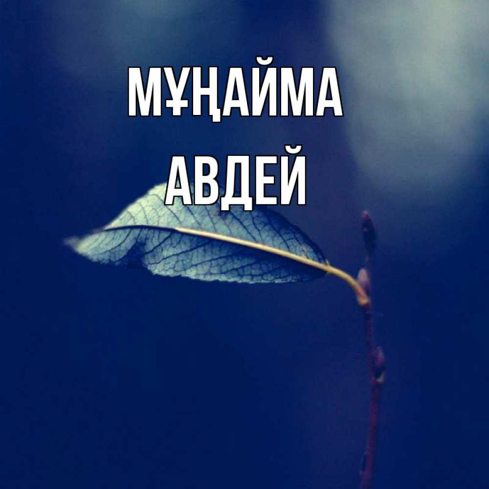 Күн сайын ашық хат с именем, Авдей Мұңайма растение Онлайн тегін жүктеп алу тілектері бар керемет карта 
