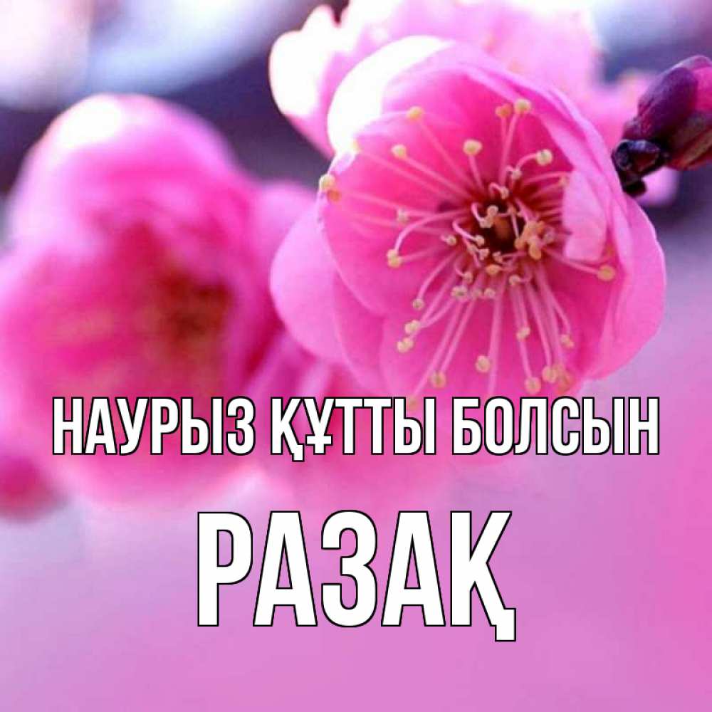 Күн сайын ашық хат с именем, РАЗАҚ Наурыз құтты болсын наурыз мейрам Онлайн тегін жүктеп алу тілектері бар керемет карта 