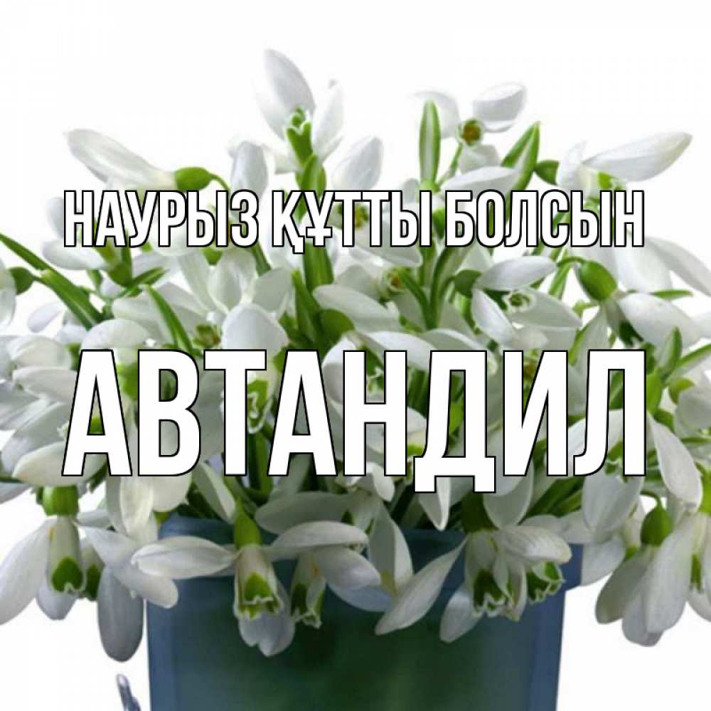 Күн сайын ашық хат с именем, Автандил Наурыз құтты болсын цветы к наурызу Онлайн тегін жүктеп алу тілектері бар керемет карта 