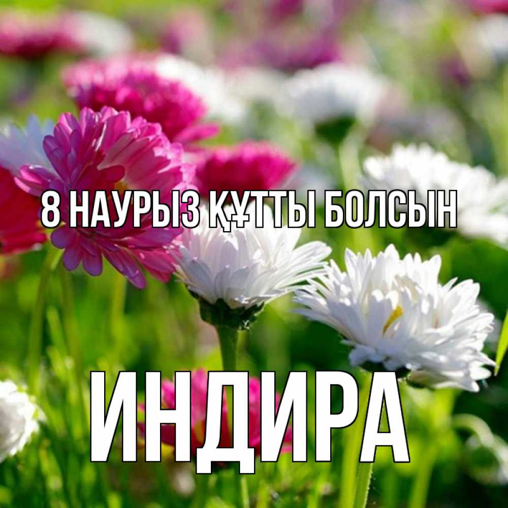 Күн сайын ашық хат с именем, ИНДИРА 8 наурыз құтты болсын международный женский день 1 Онлайн тегін жүктеп алу тілектері бар керемет карта 