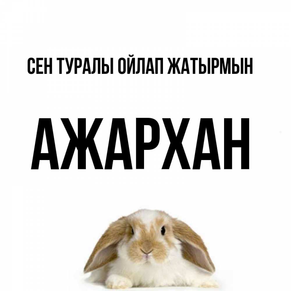 Күн сайын ашық хат с именем, АЖАРХАН Сен туралы ойлап жатырмын подписать своими руками онлайн Онлайн тегін жүктеп алу тілектері бар керемет карта 