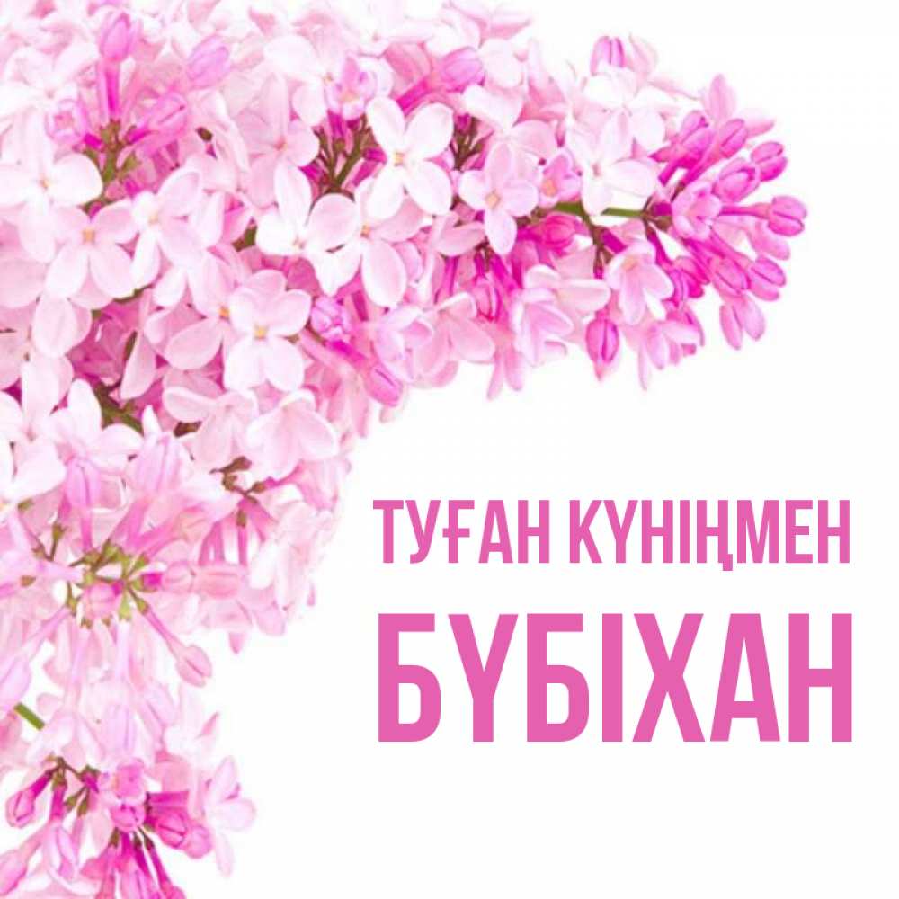 Күн сайын ашық хат с именем, БҮБІХАН Туған күніңмен Сирень на белом фоне Онлайн тегін жүктеп алу тілектері бар керемет карта 