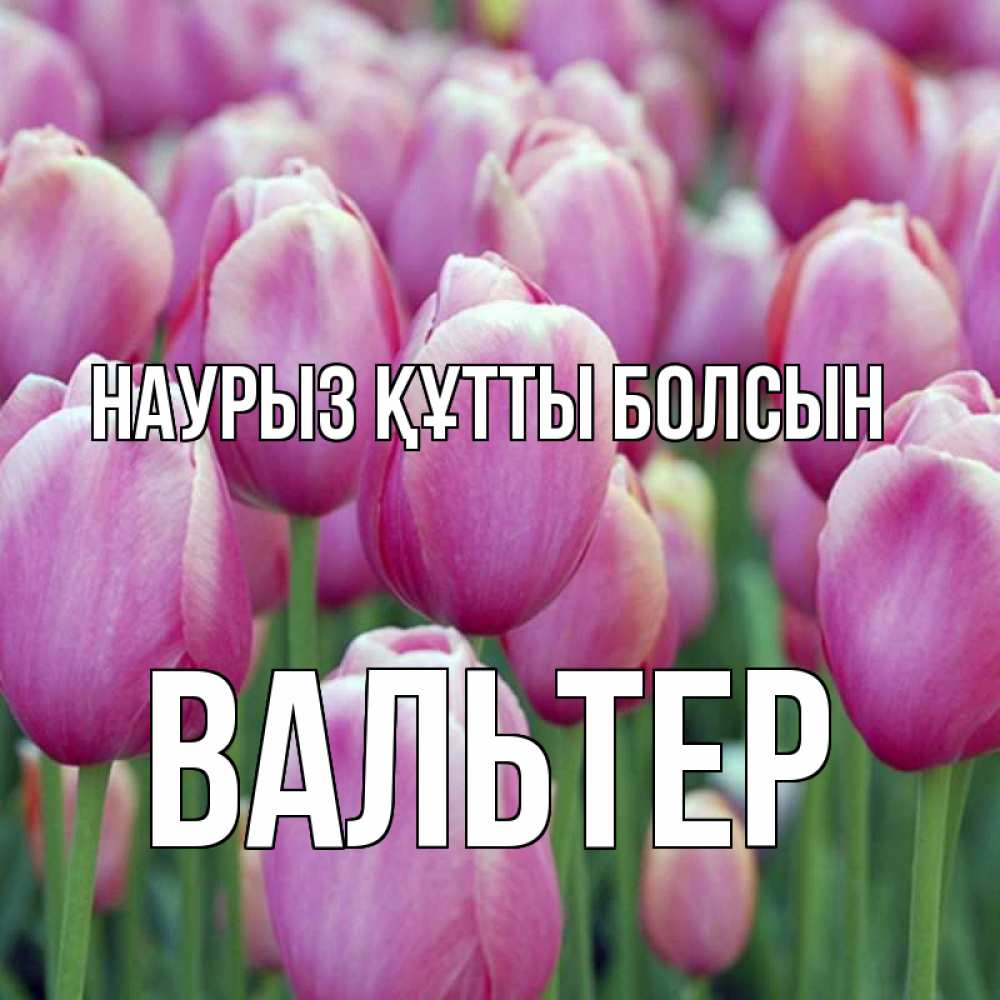 Күн сайын ашық хат с именем, Вальтер Наурыз құтты болсын на наурыз  день 3 Онлайн тегін жүктеп алу тілектері бар керемет карта 