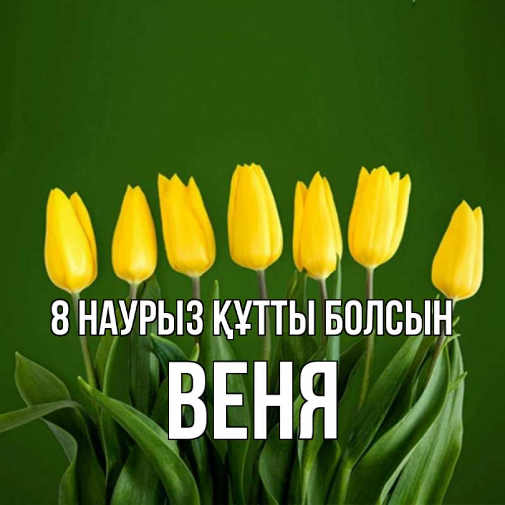 Күн сайын ашық хат с именем, Веня 8 наурыз құтты болсын желтого цвета 3 Онлайн тегін жүктеп алу тілектері бар керемет карта 