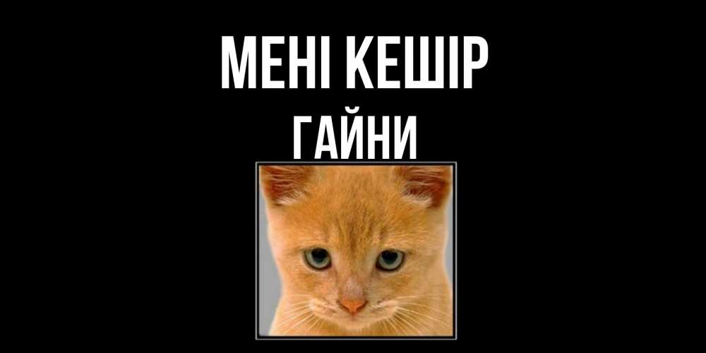 Күн сайын ашық хат с именем, ГАЙНИ Мені кешір рыжий грустный кот просит прощения Онлайн тегін жүктеп алу тілектері бар керемет карта 