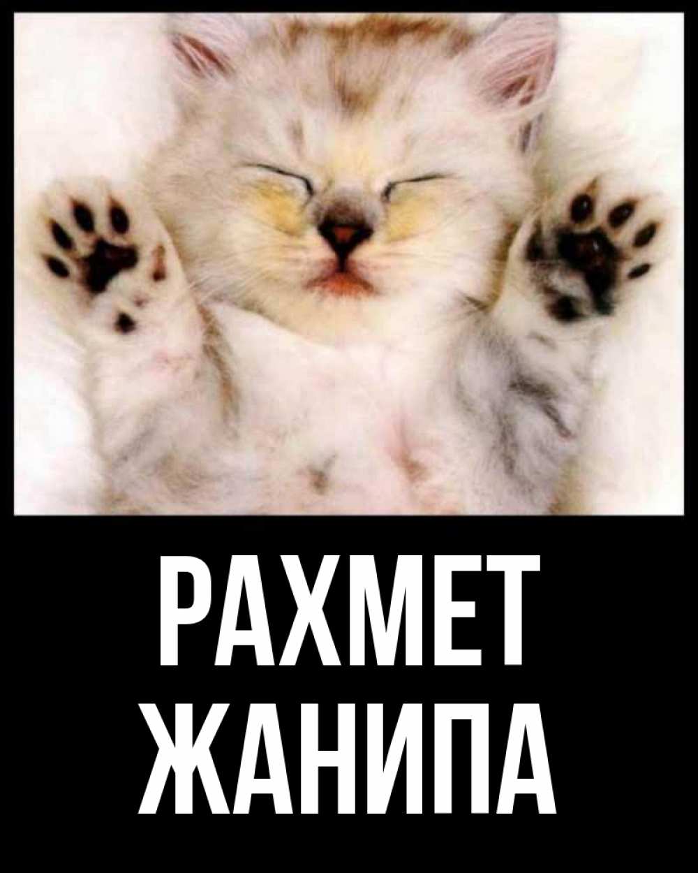 Күн сайын ашық хат с именем, ЖАНИПА рахмет маленький котенок Онлайн тегін жүктеп алу тілектері бар керемет карта 