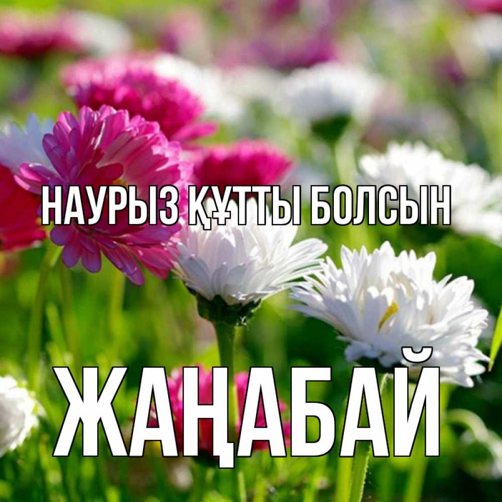 Күн сайын ашық хат с именем, Жаңабай Наурыз құтты болсын наурыз Онлайн тегін жүктеп алу тілектері бар керемет карта 