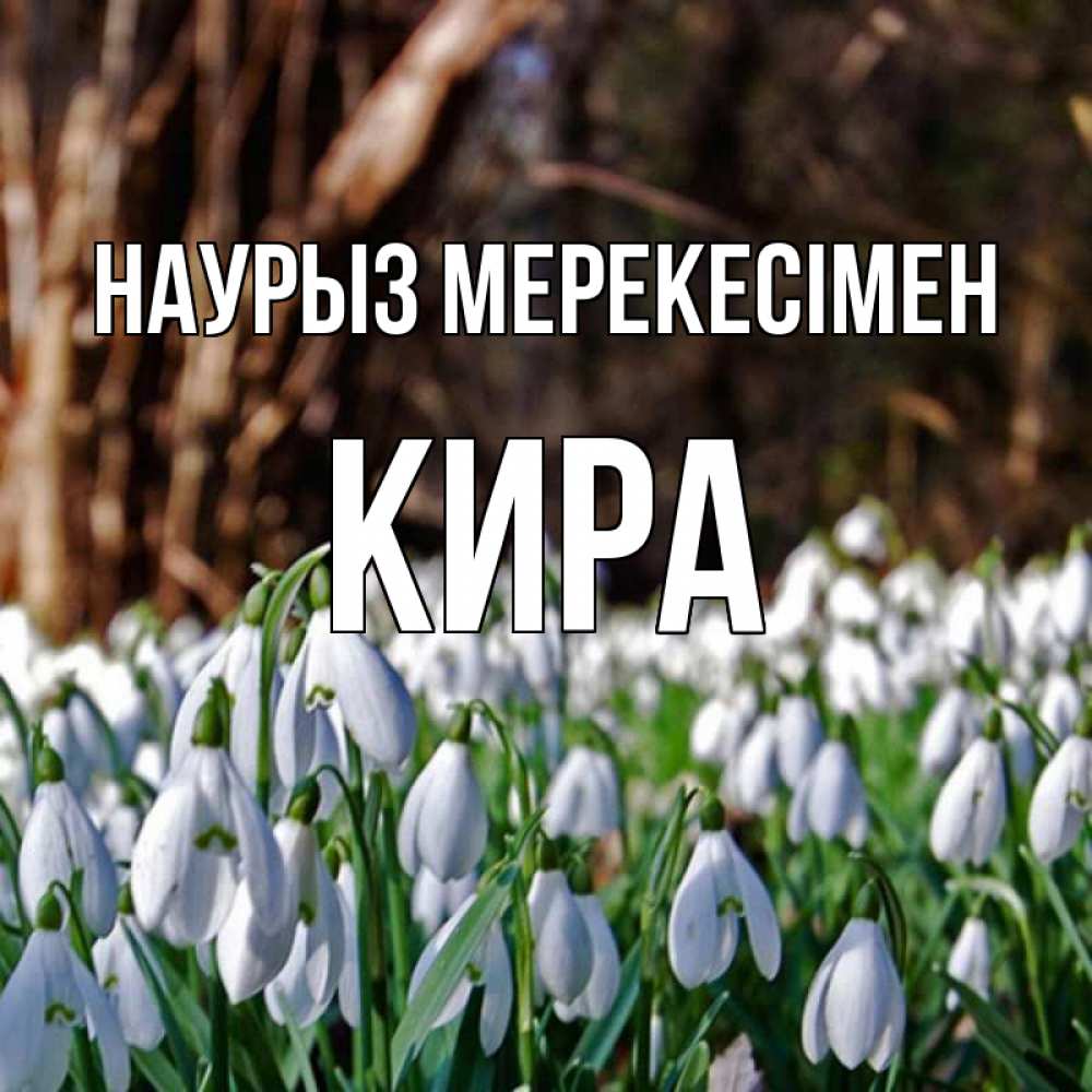 Күн сайын ашық хат с именем, Кира Наурыз мерекесімен с подснежниками 1 Онлайн тегін жүктеп алу тілектері бар керемет карта 